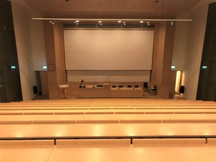 Auditorium - 197 pladser 