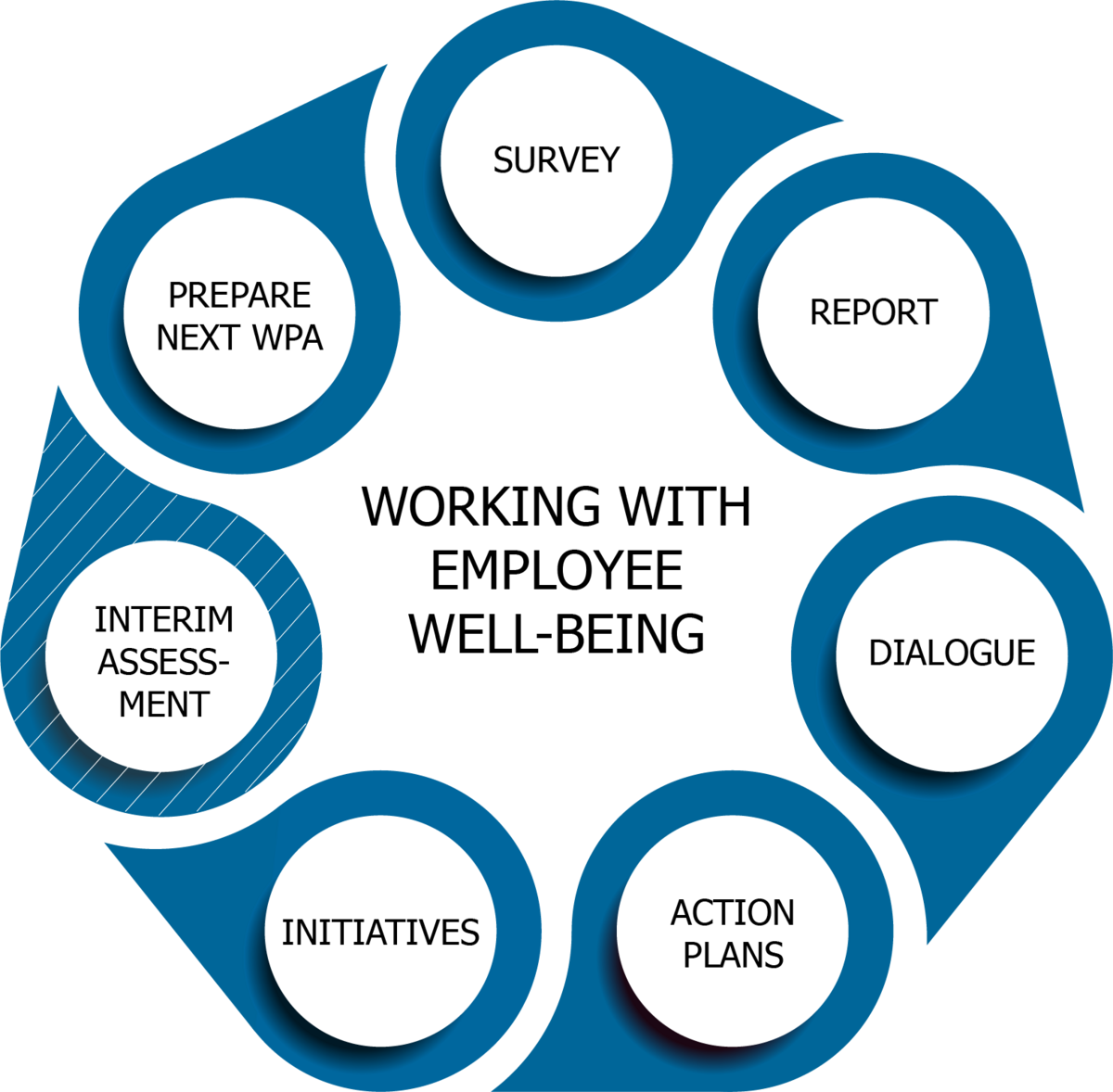 Phase model with seven steps in a circle. Starting at the top and going clockwise: Survey. Report. Dialogue. Action plans. Initiatives. Interim assessment. Prepare next Workplace assessment.