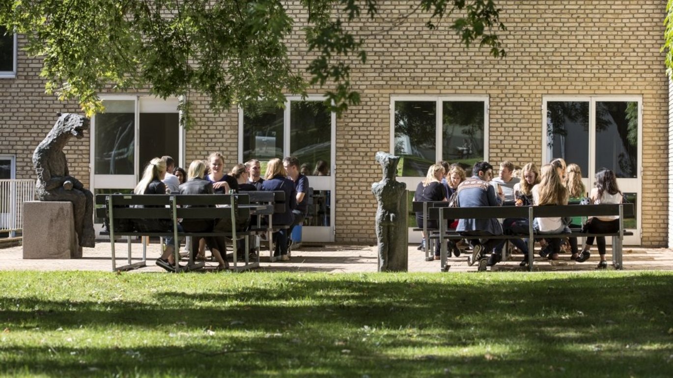 Studerende sidder ved borde i et grønt område ved Aarhus Universitets gule mure
