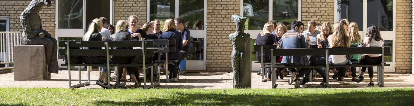 Studerende sidder ved borde i et grønt område ved Aarhus Universitets gule mure