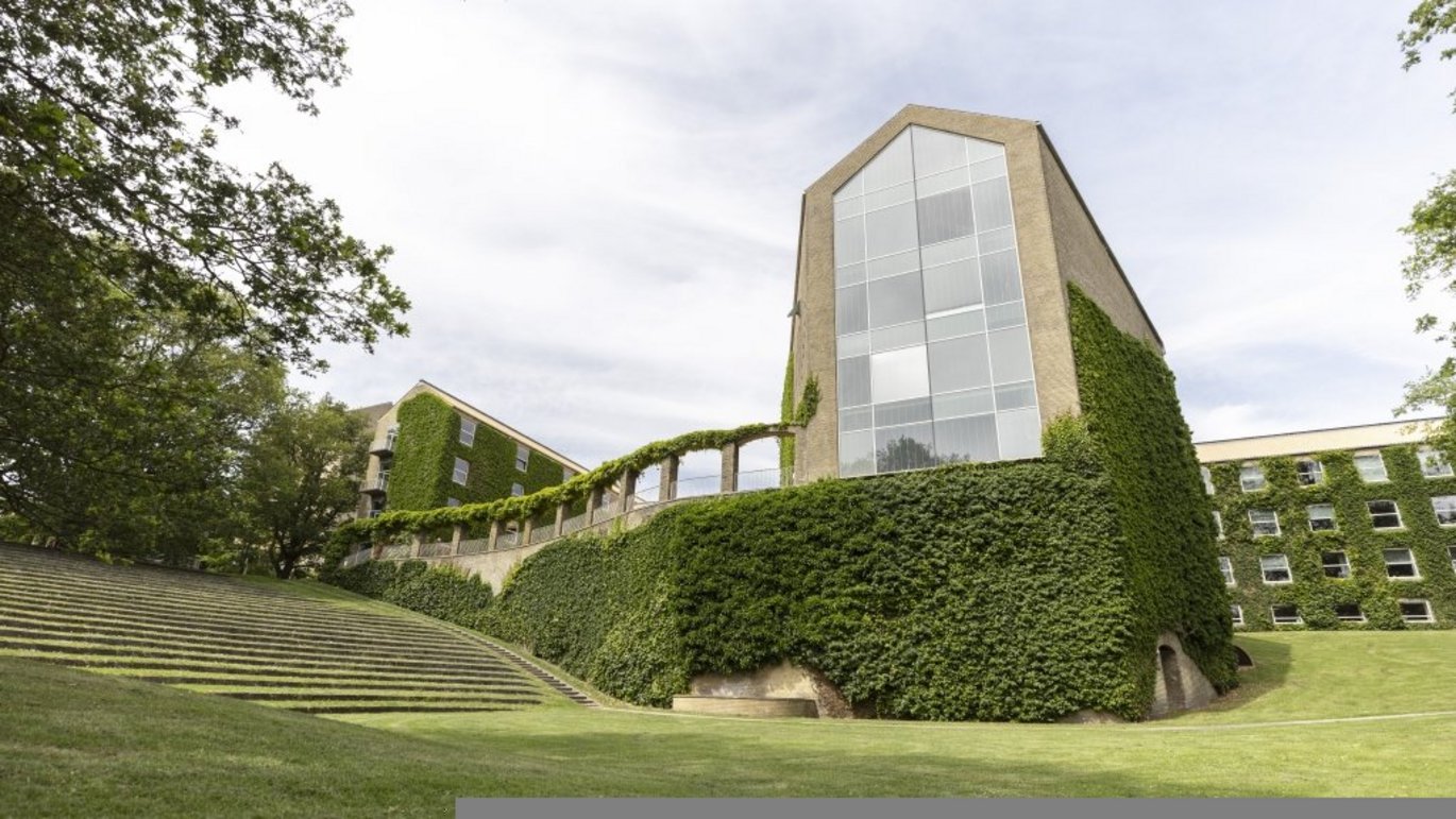 Aarhus Universitets aula set fra universitetsparken på en sommerdag med masser af grønt i parken.
