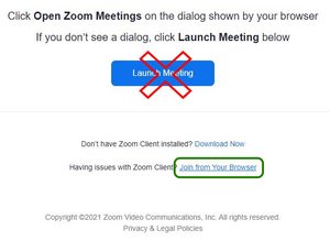 Zoom dialogue window. Link to click is marked