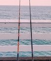 Fishing rods by white picket fence with ocean view
