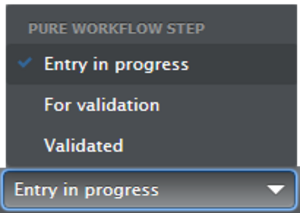 Workflow steps. Entry in progress selected
