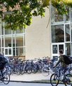 Rækker af cykler på Aarhus Universitets campus